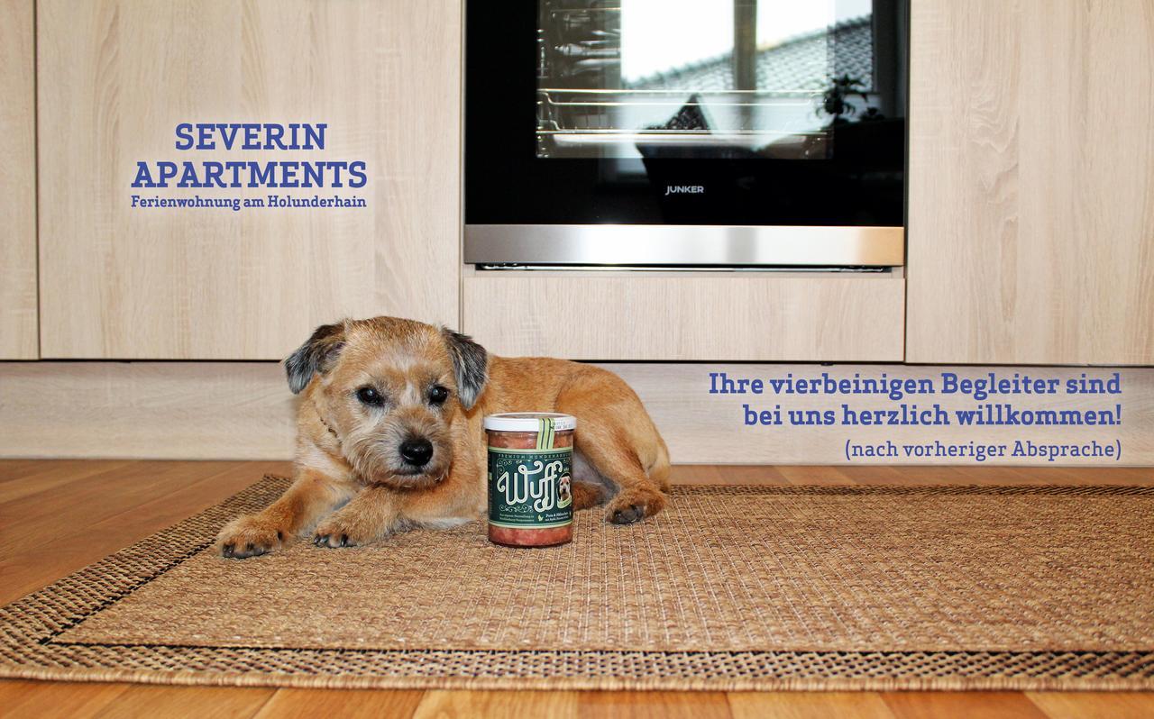 Severin Apartments 外观 照片